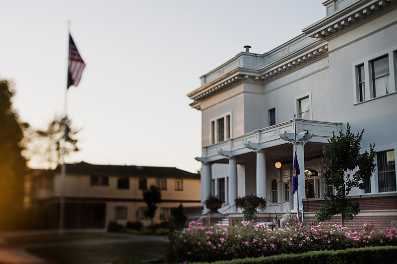 Exploring 50 Years of Pastoral Wisdom: Bible Commentary and Sermon Notes